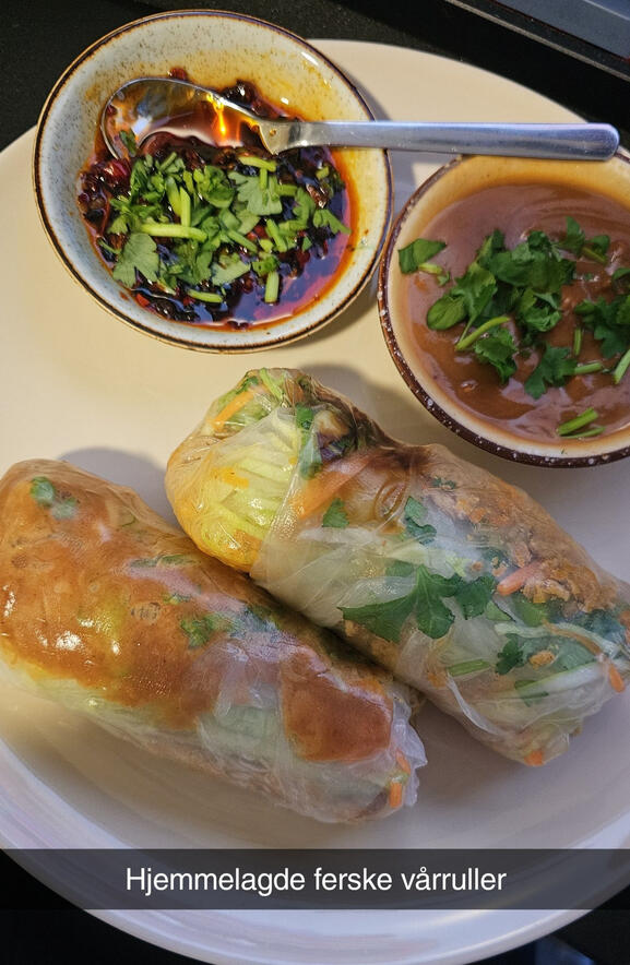 Fresh Spring Rolls